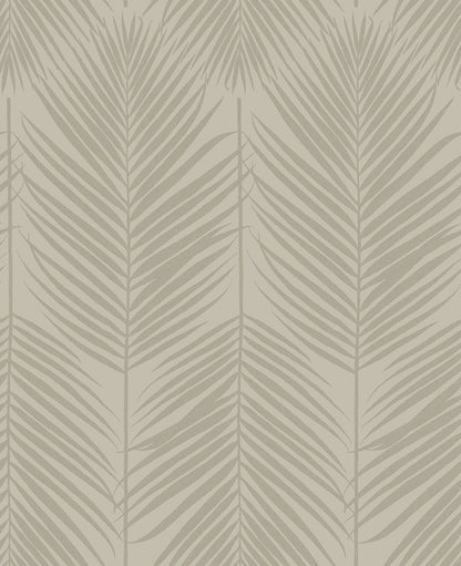 Persei Palm Botanical Wallpaper