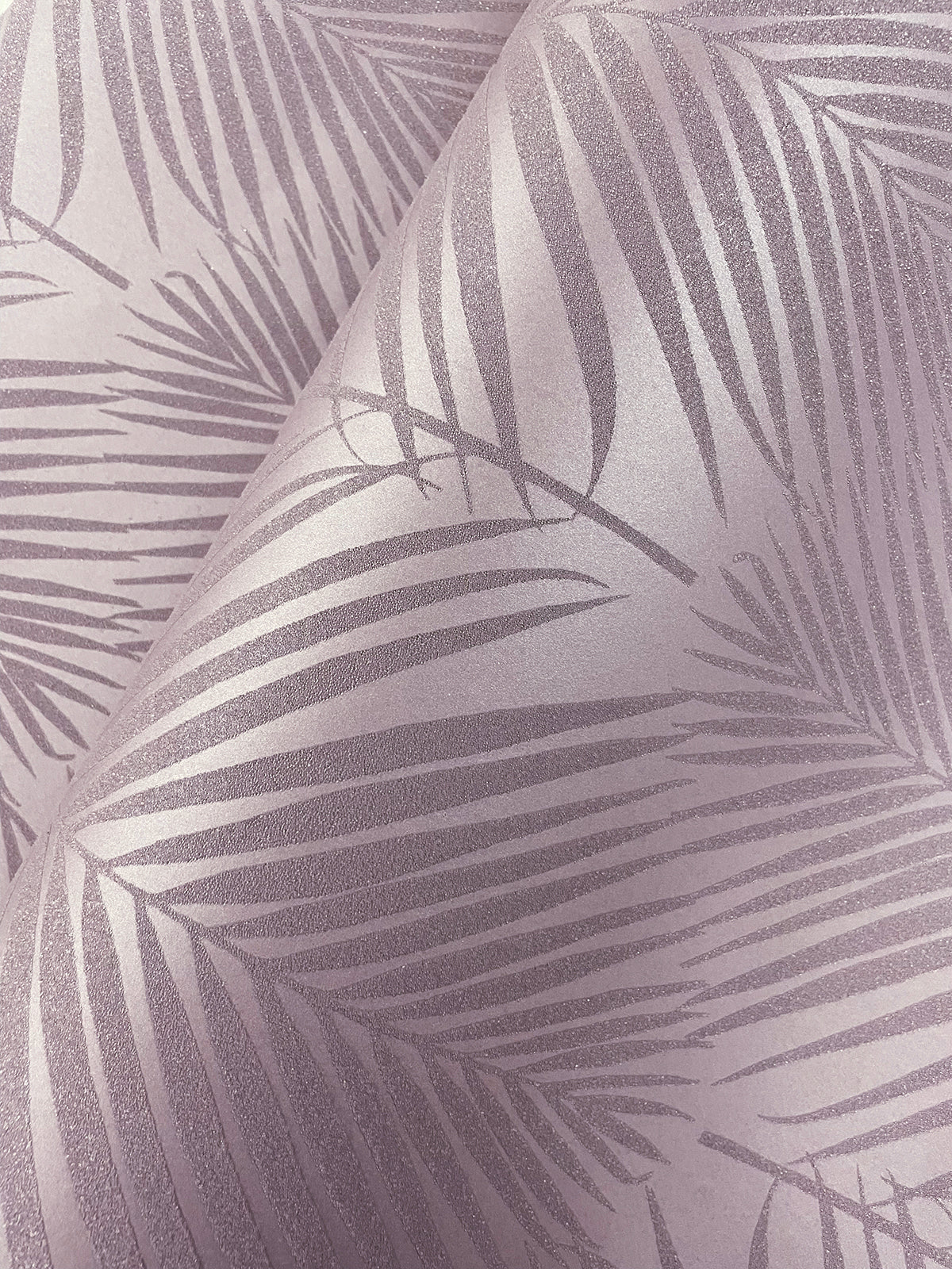 Persei Palm Botanical Wallpaper