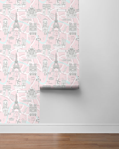 Paris Scene Vinyl Wallpaper