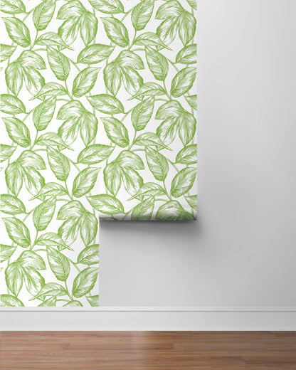 Sketched Leaves Vinyl Wallpaper