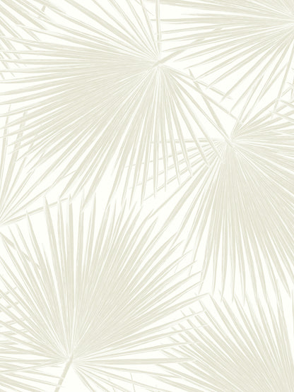 Aruba Palm Vinyl Wallpaper