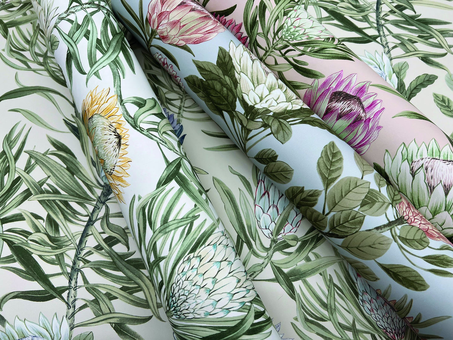 Perpignan Protea Non-woven Unpasted Wallpaper