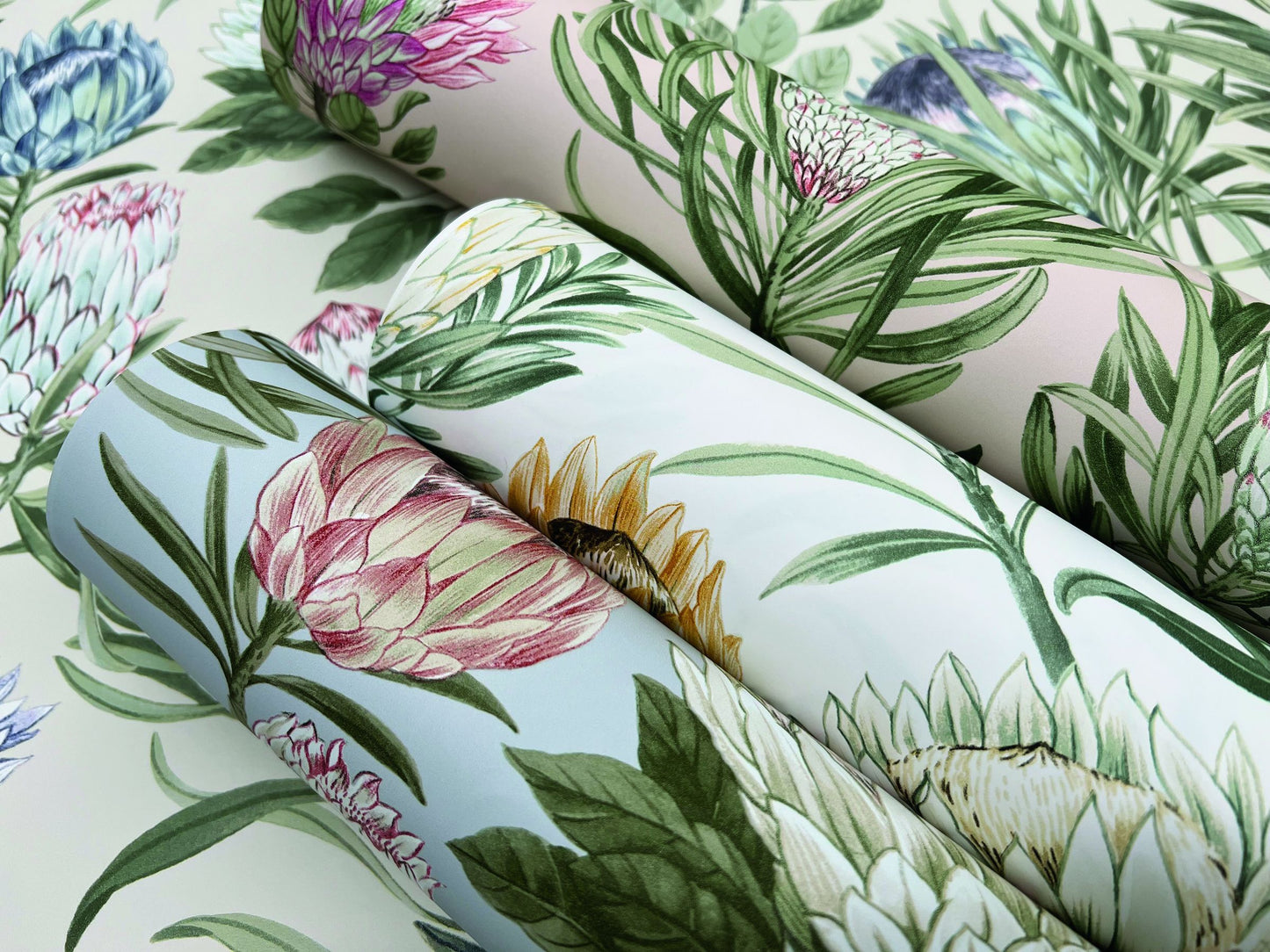 Perpignan Protea Non-woven Unpasted Wallpaper